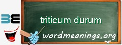 WordMeaning blackboard for triticum durum